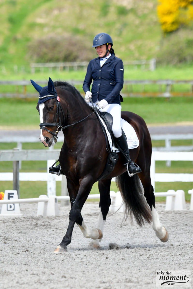 Major Dressage